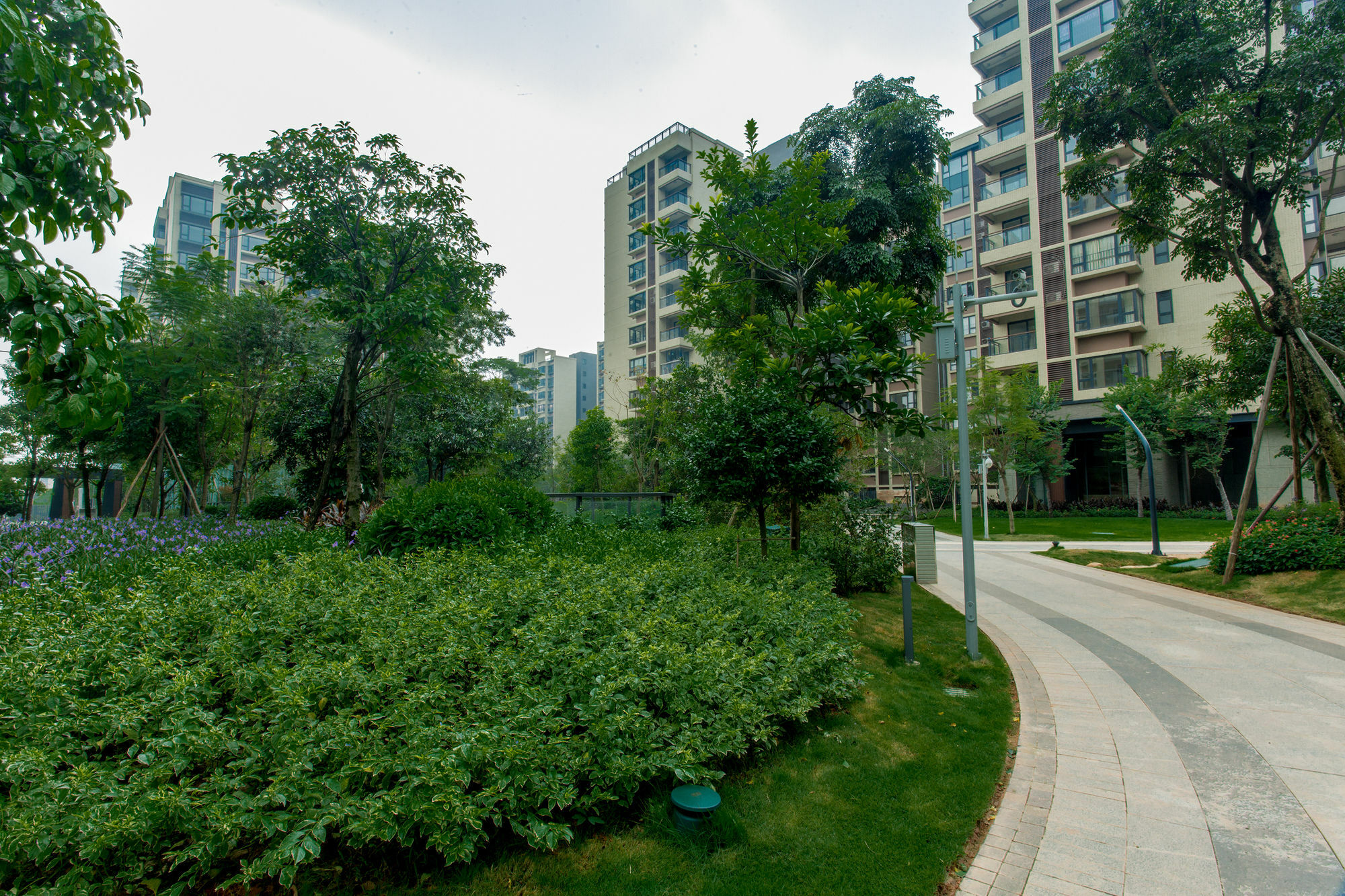 The Canton Residence Foshan Eksteriør billede